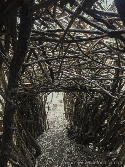 Cedar tunnel